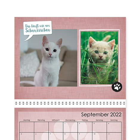 Tierkalender