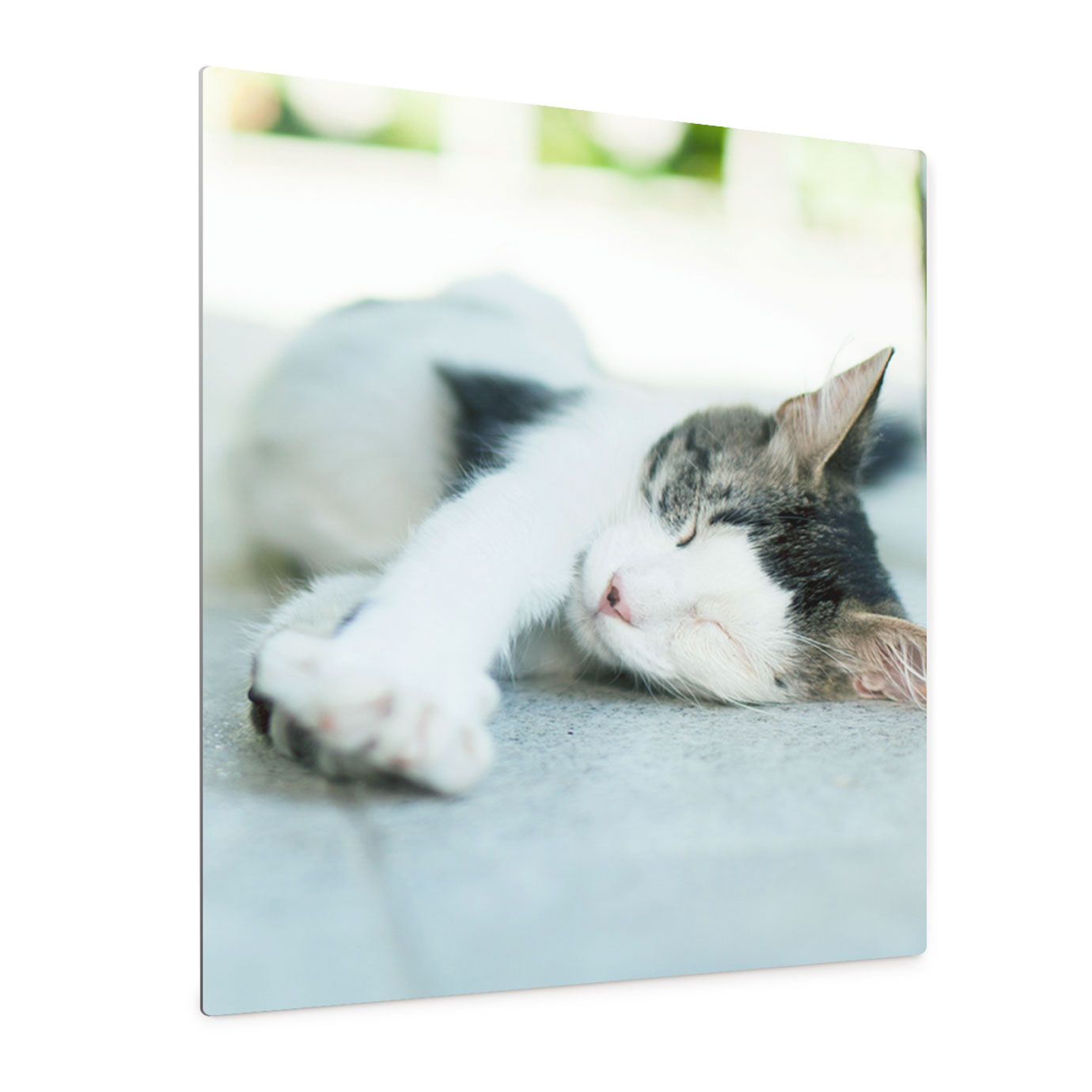 40x50cm 16x20 Hd Metal Wall Panel Wallpanels Canvas Home