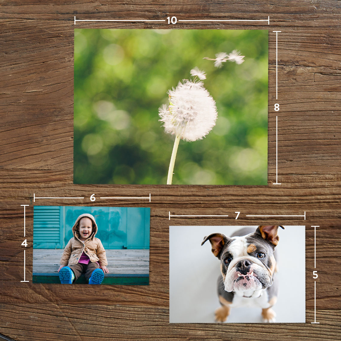 4x6 Photo Size Comparison Emsekflol