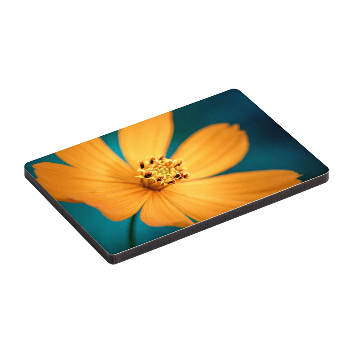 Photo Custom Fridge Snapfish NZ