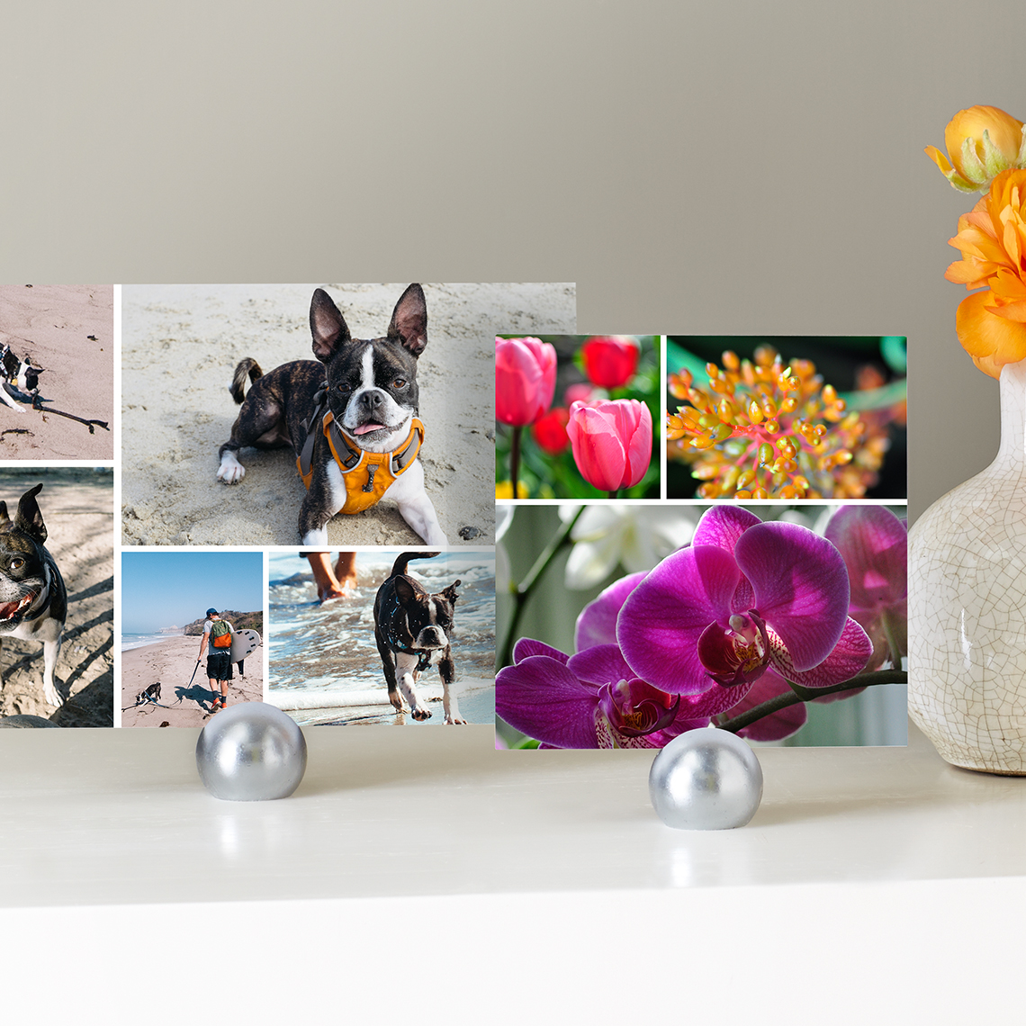 online dog photo montage maker