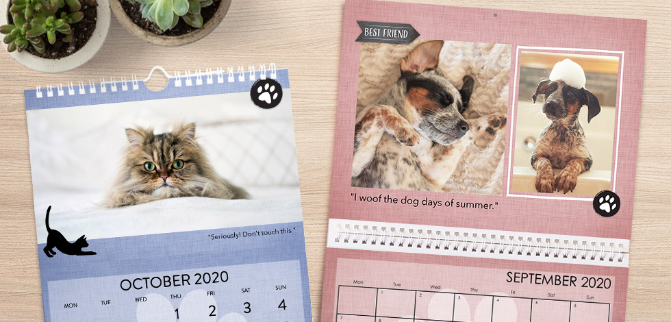 12 Month-12x24 Inches Brand New w Kittens 2019 Wall Calendar 
