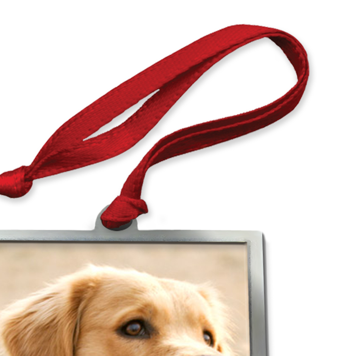 Silver Frame Ornament Snapfish